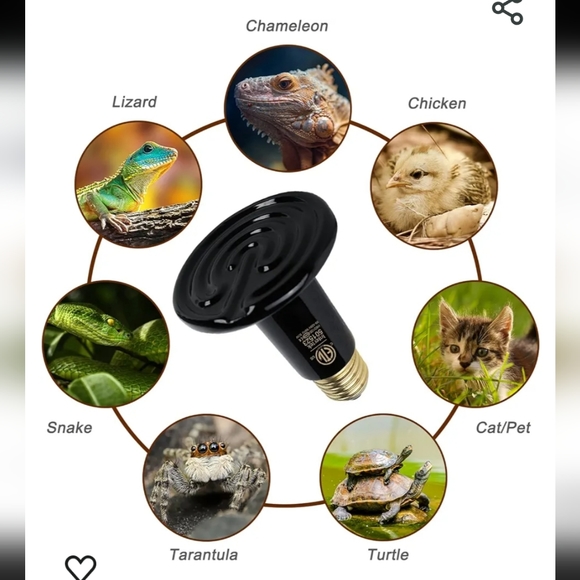 Ceramic Reptile Heat Lamp - Picture 7 of 10